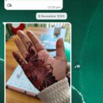 Home lipika mehandi feedback